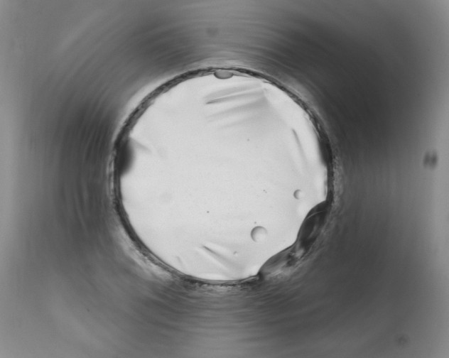 X0000111671076200908281105