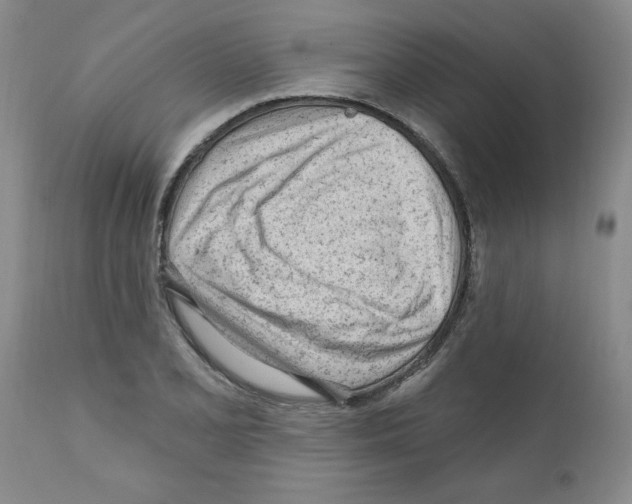 X0000111671077200908281105