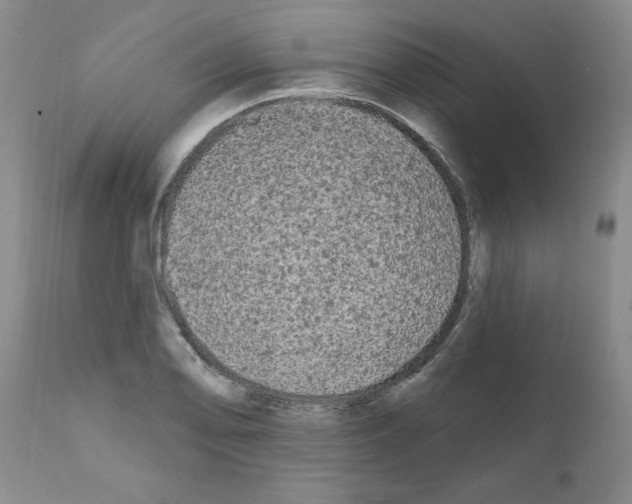 X0000111671078200908281105