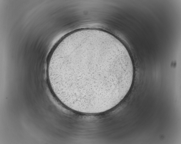 X0000111671079200908281105