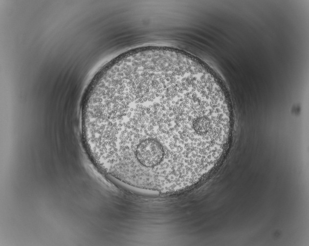 X0000111671080200908281105