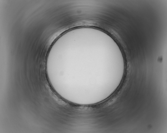 X0000111671081200908281105