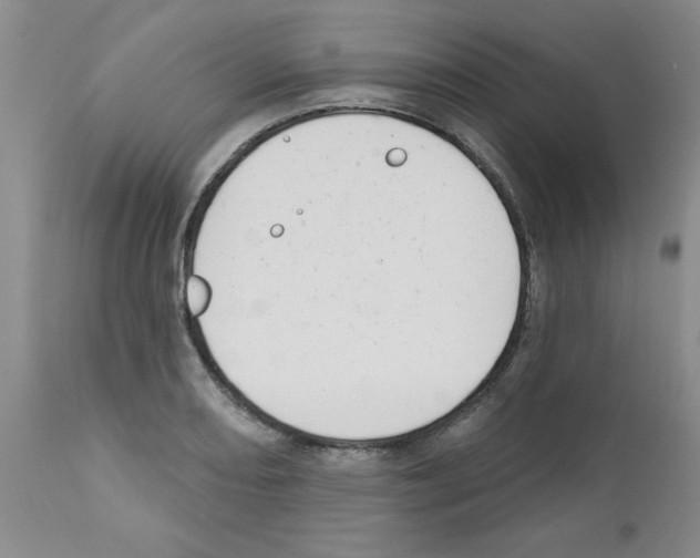 X0000111671082200908281105