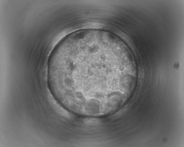 X0000111671083200908281105