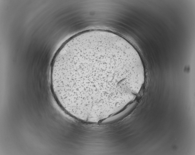 X0000111671084200908281105