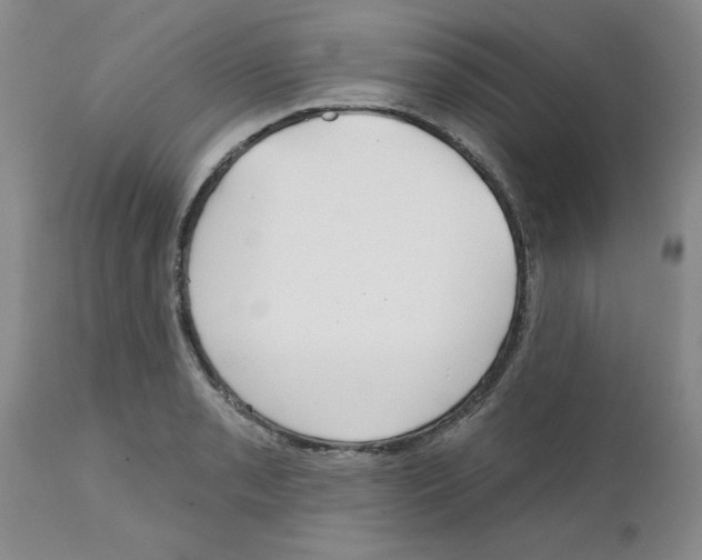 X0000111671085200908281105