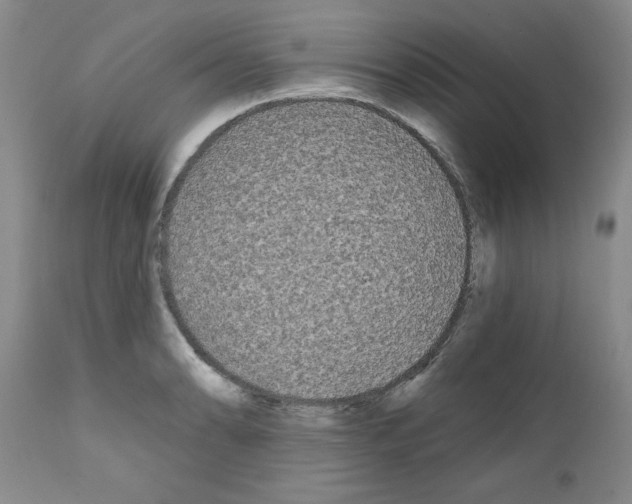 X0000111671086200908281105