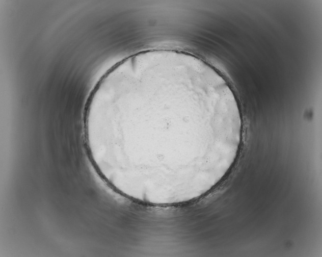 X0000111671087200908281105