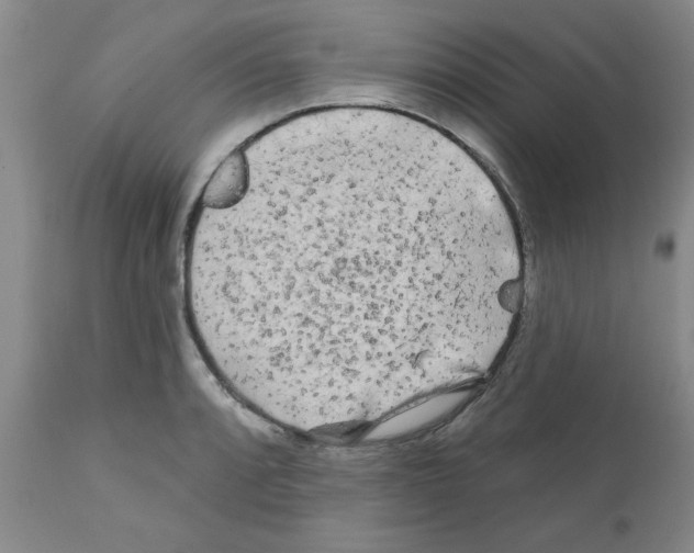 X0000111671088200908281105