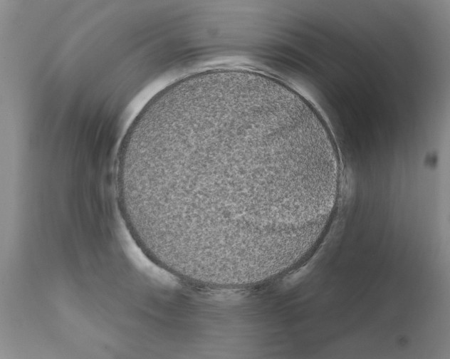 X0000111671090200908281105