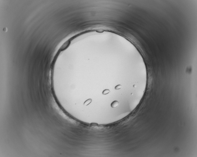 X0000111671092200908281105