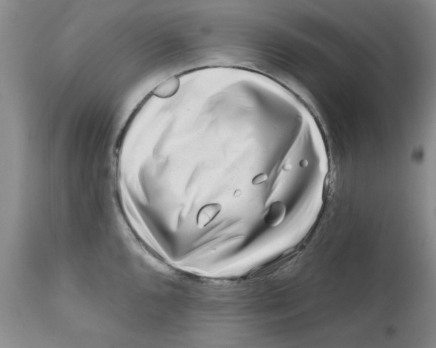 X0000111671096200908281105