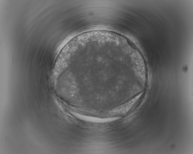 X0000111671097200908281105