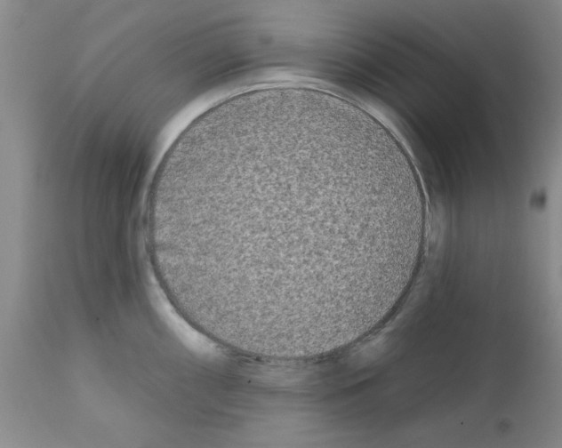 X0000111671098200908281105