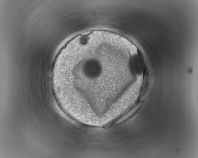 X0000111671100200908281105