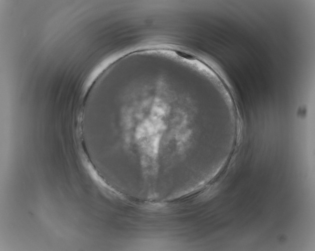 X0000111671101200908281105