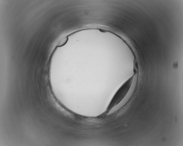 X0000111671102200908281105