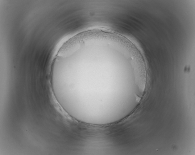 X0000111671104200908281105