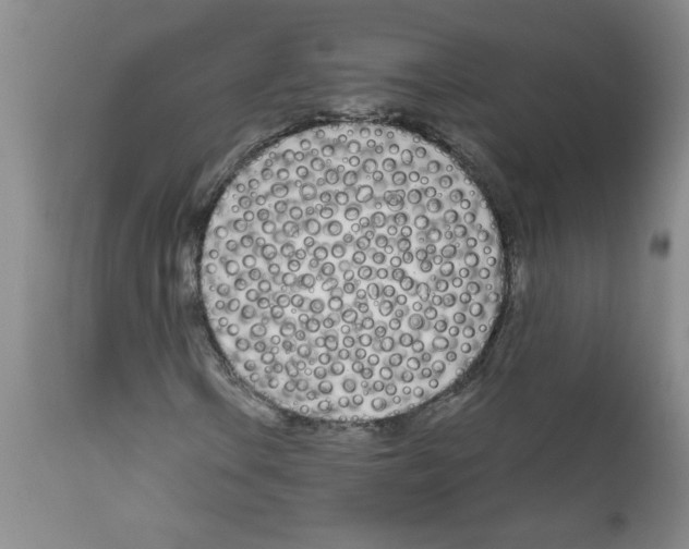 X0000111671106200908281104