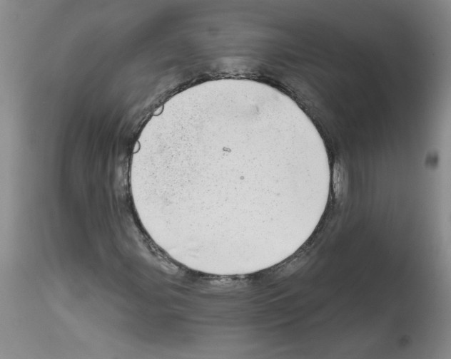 X0000111671107200908281104