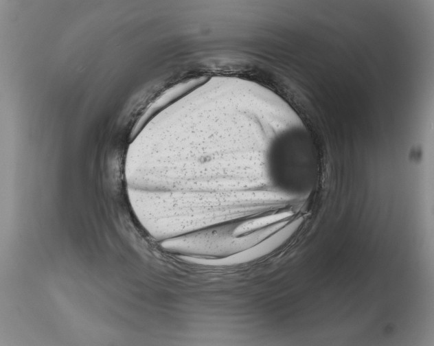 X0000111671108200908281104