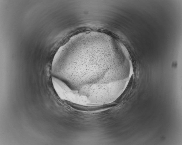 X0000111671110200908281104