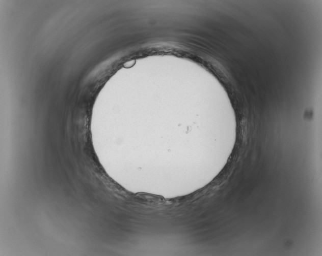 X0000111671111200908281104