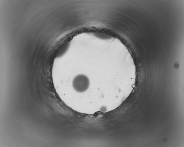 X0000111671112200908281104