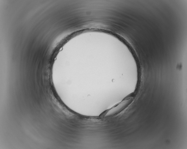 X0000111671115200908281104