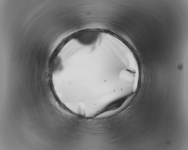 X0000111671116200908281104