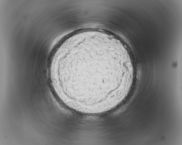 X0000111671117200908281104