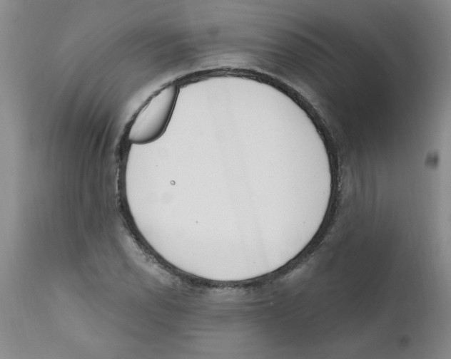 X0000111671118200908281104