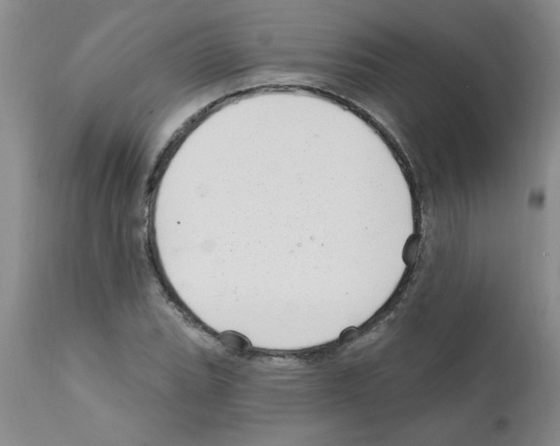 X0000111671119200908281104