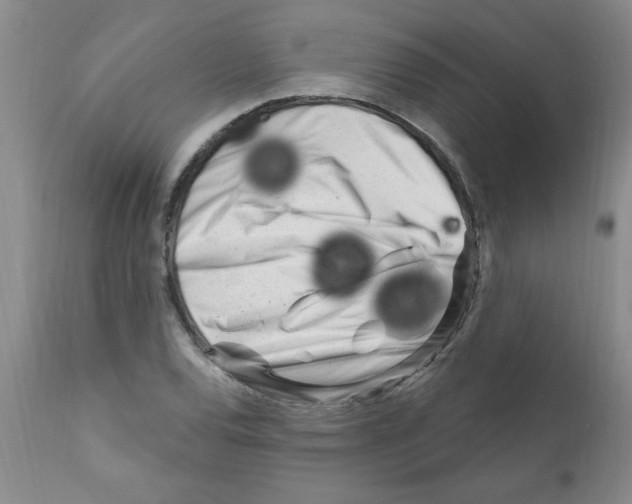 X0000111671120200908281104