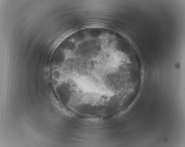 X0000111671121200908281104