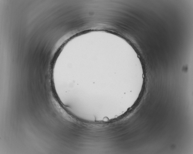 X0000111671122200908281104