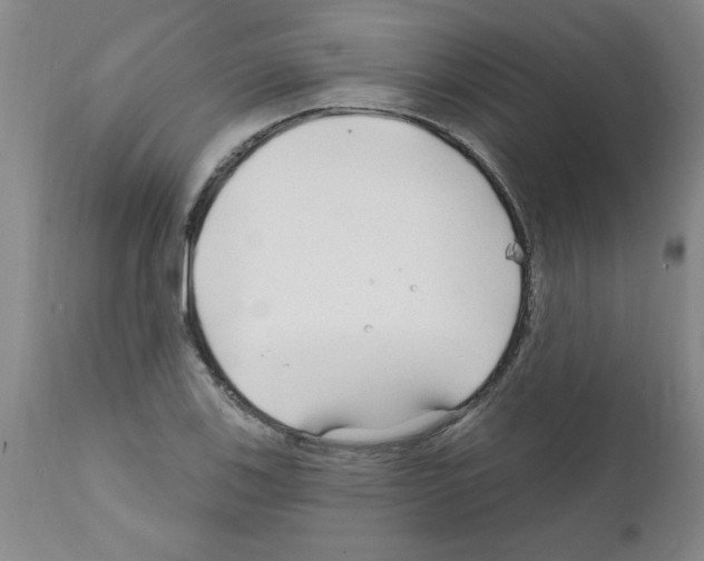 X0000111671123200908281104