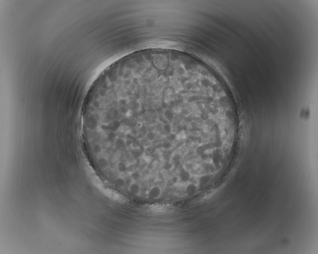 X0000111671125200908281104