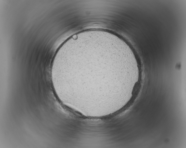 X0000111671129200908281104