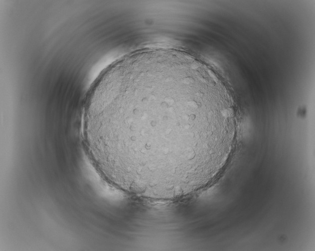 X0000111671130200908281104