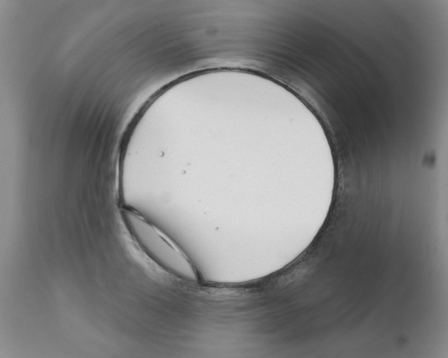 X0000111671132200908281104