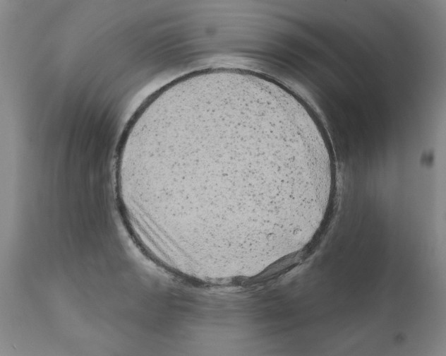 X0000111671133200908281104