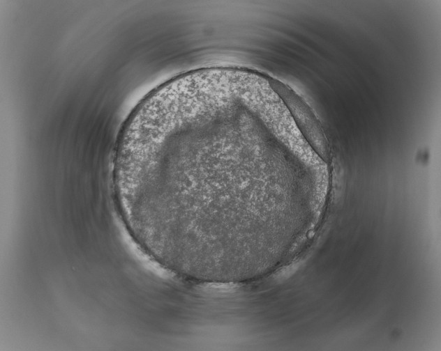 X0000111671134200908281104