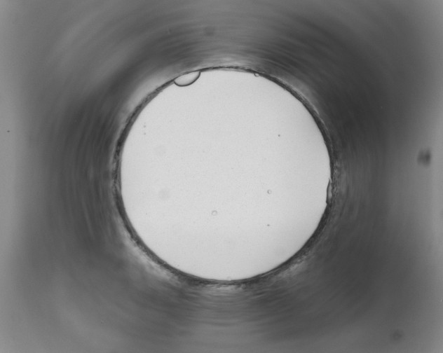 X0000111671135200908281104