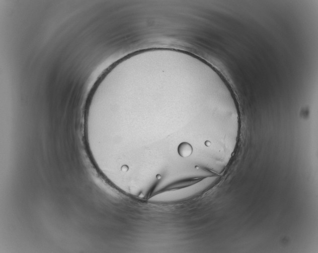 X0000111671136200908281104