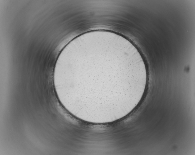 X0000111671137200908281104