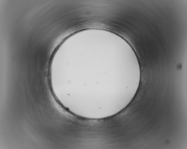 X0000111671139200908281104