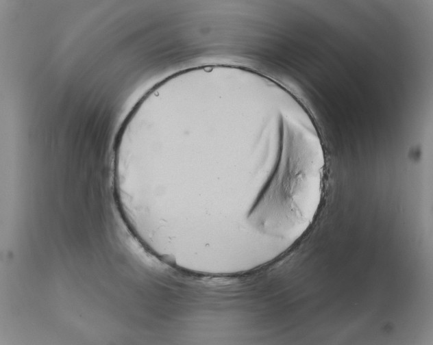 X0000111671140200908281104