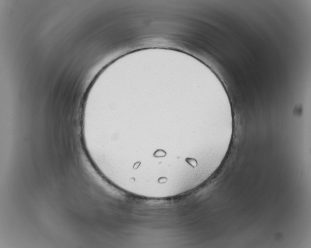 X0000111671142200908281104