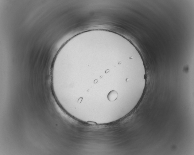 X0000111671143200908281104